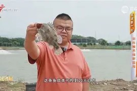 鐞嗗厜im3000-球速网站